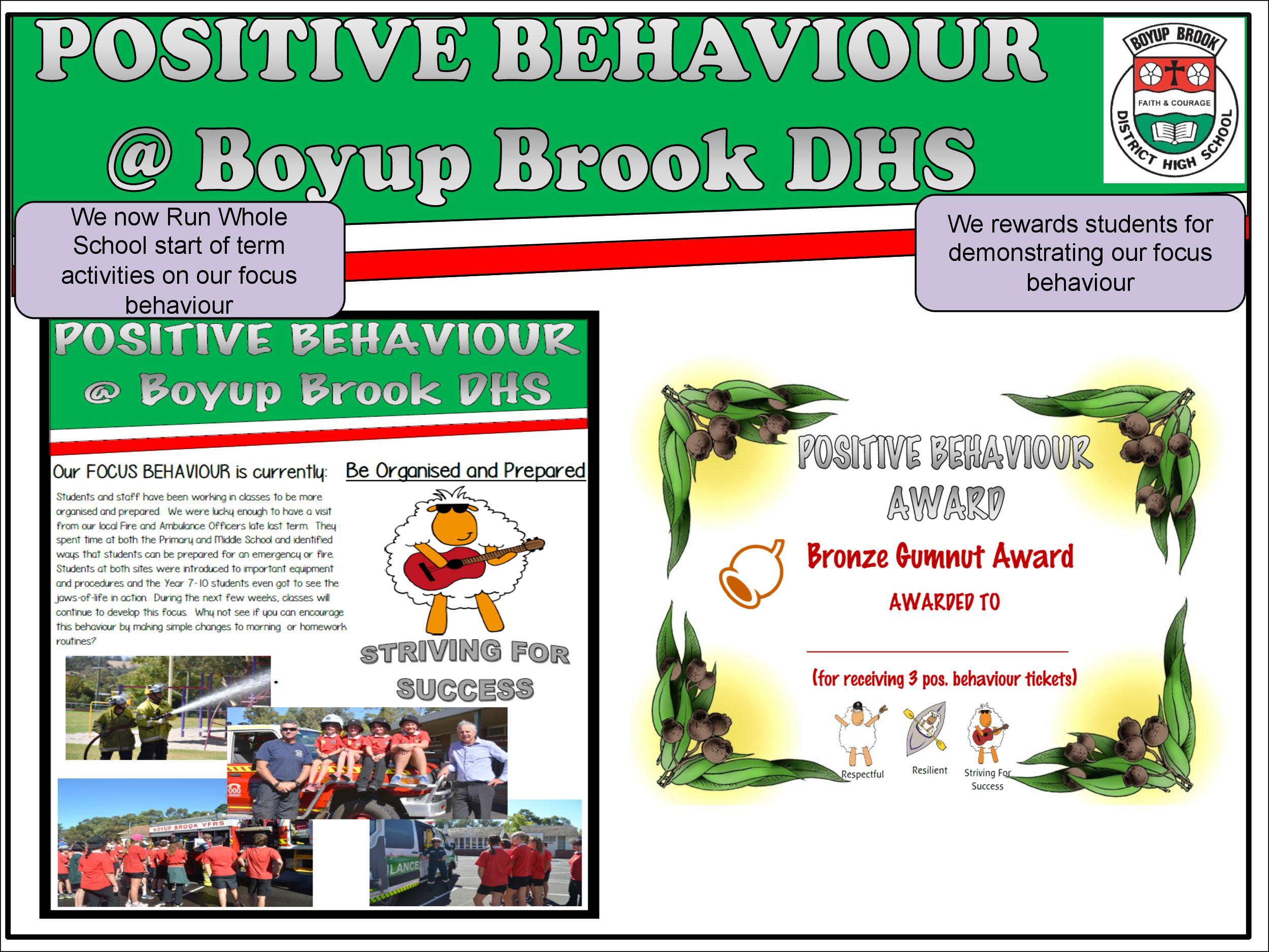 Positive Behaviour Support Page 18