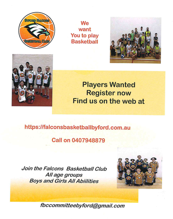 Byford_Falcons_Basketball_Club.PNG