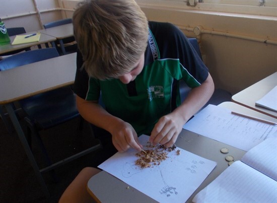 Cookie Mining in Year 8 Science