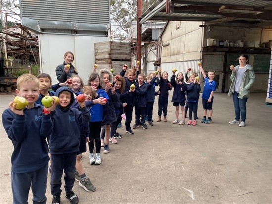 1C and their fruit