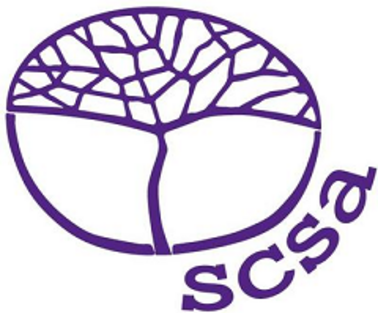 SCSA image.png