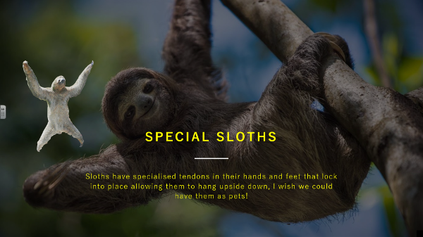 Special_Sloths.png