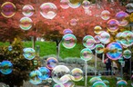 bubbles.JPG
