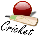 cricket_image.png