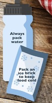 Pack_Water_and_Ice_Brick.jpg