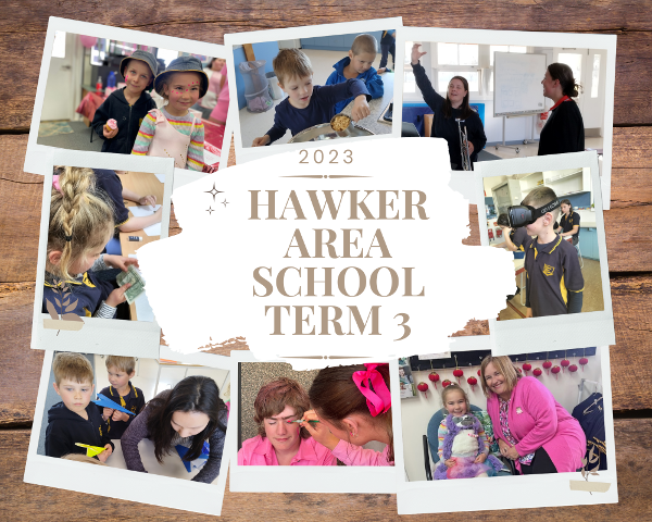 hawker_area_school_term_3_1_.png