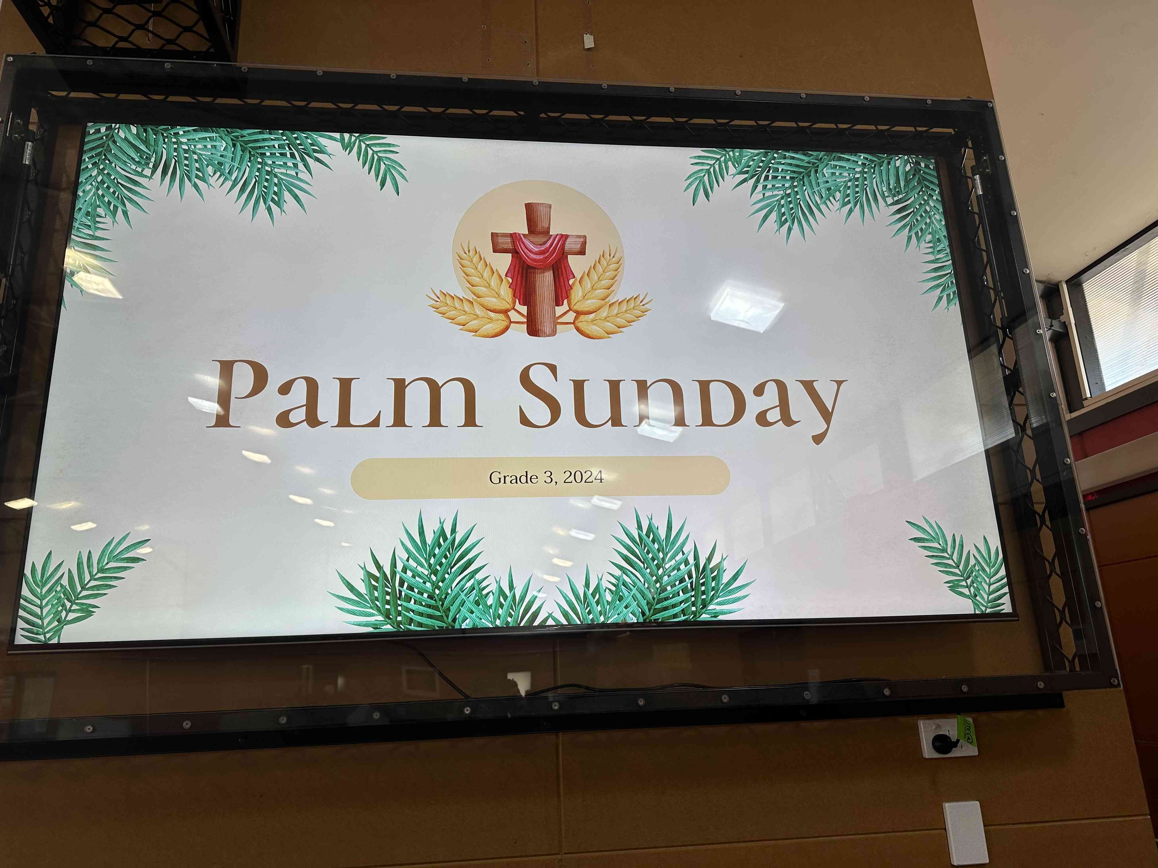 palm7