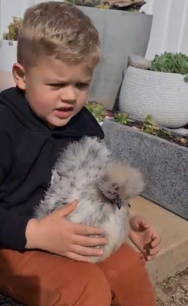 Sion caring for his chickens