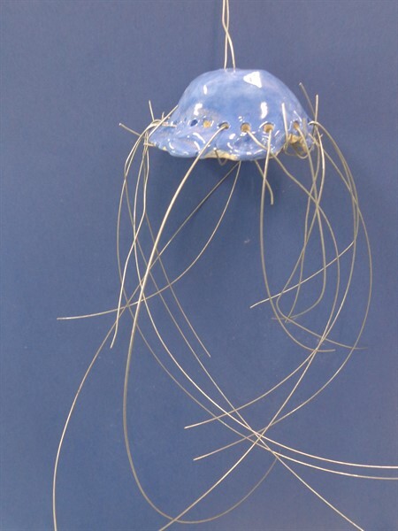 Jellyfish Year 3 (10)