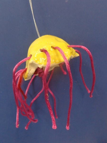 Jellyfish Year 3 (14)