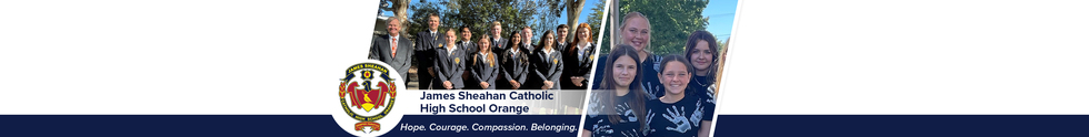 James Sheahan Catholic High School Orange
