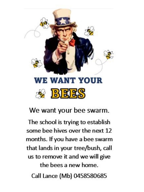 Bee_Ad.jpg