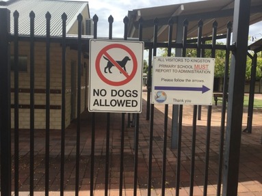 No_Dogs_Allowed.jpg