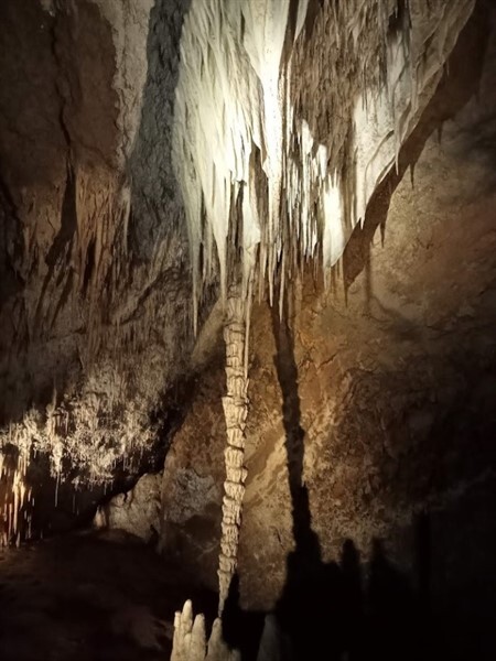 DONE   Mole Creek Caves4