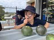 primary_boy_mgnifying_glass_and_melons.jpg