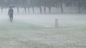 cricket_rain.jpg