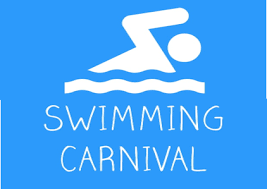 swimming_carnival.png