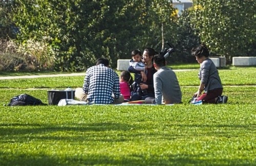 family_picnic.jpg