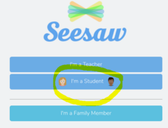 seesaw1.PNG