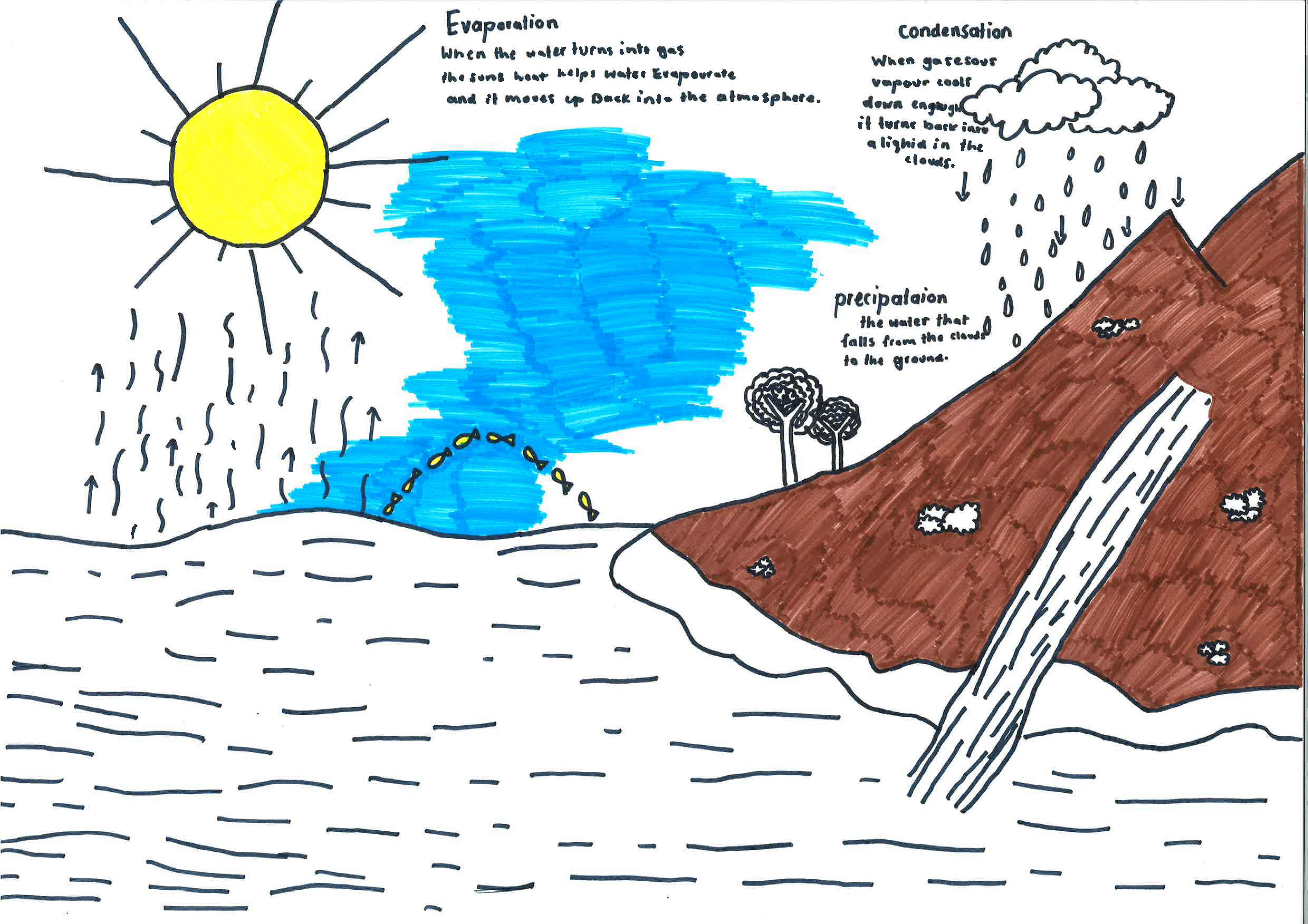 Ada - the water cycle