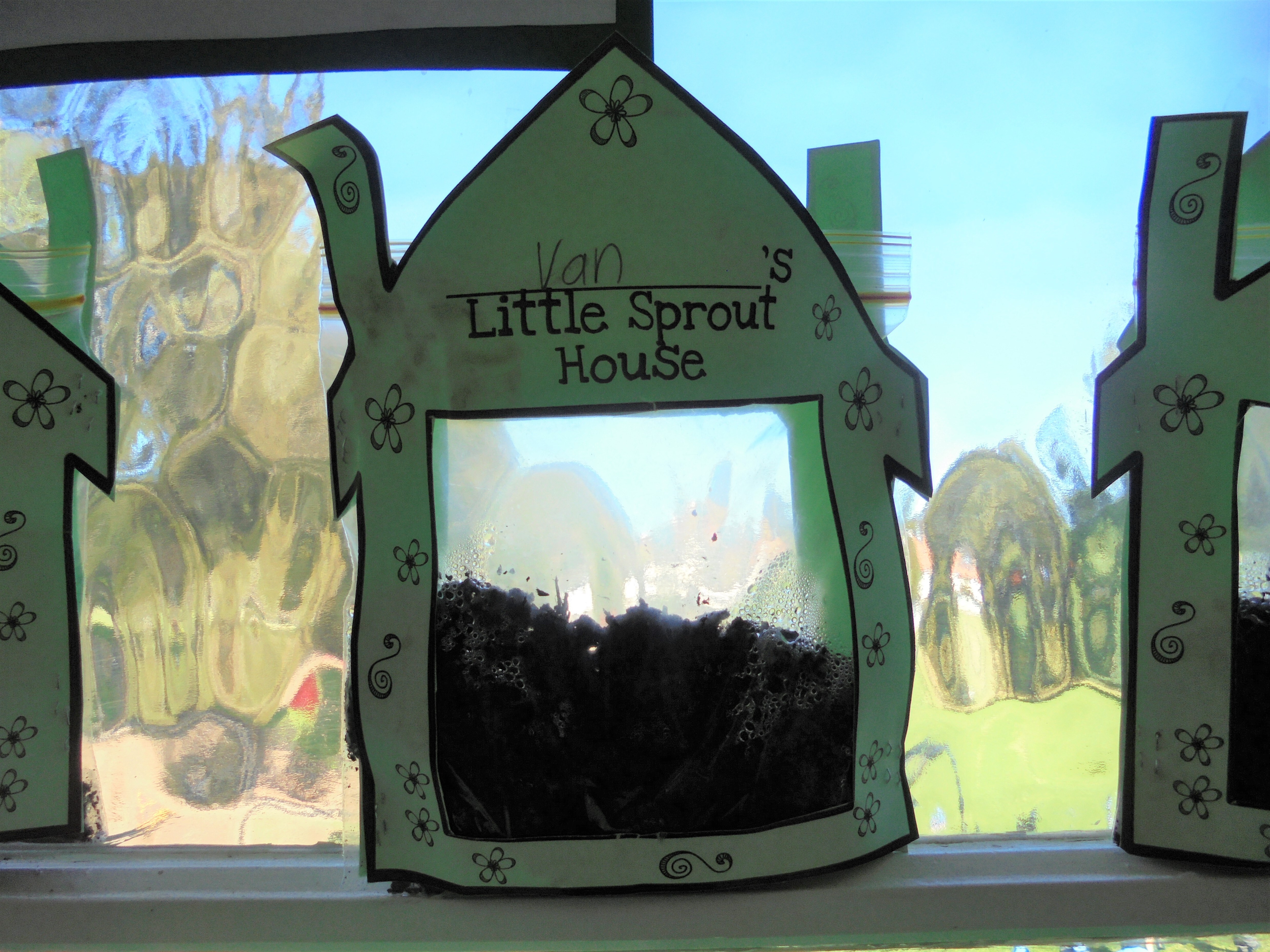 little sprout house (2)