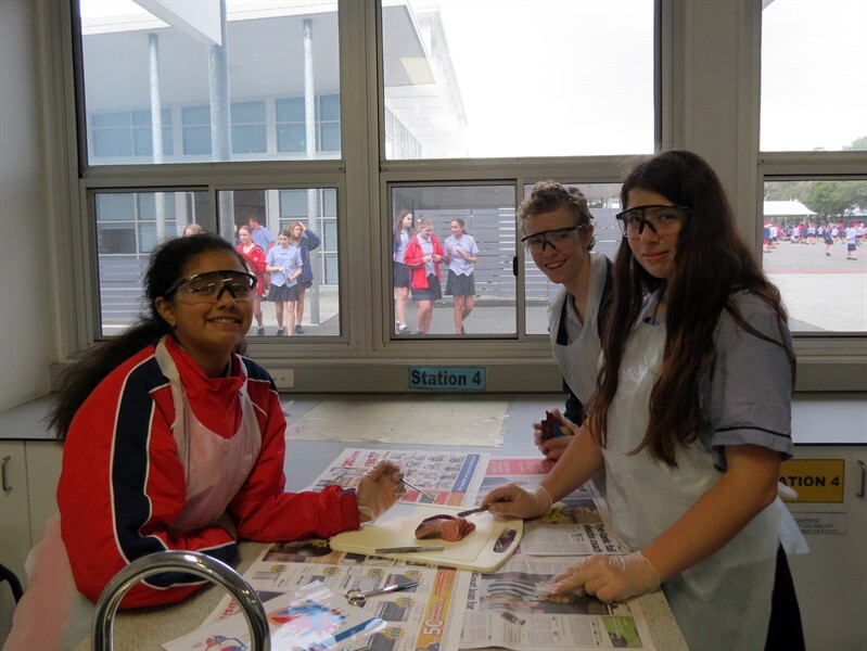 006 Science club June 20 - Heart dissection (6)
