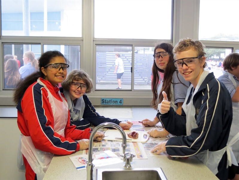 007 Science club June 20 - Heart dissection (8)