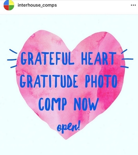 Gratitude Comp
