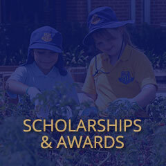 scholarships-awards