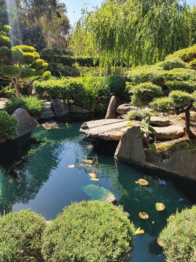 Japanese gardens 3
