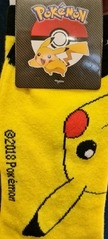 Pikachu_pic.jpg