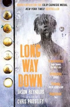 Long_Way_Down.jpg