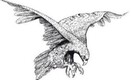 eagle_logo.jpg
