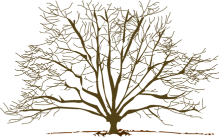 winter_tree.2.png