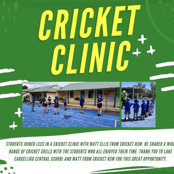 Cricket_Clinic.jpg