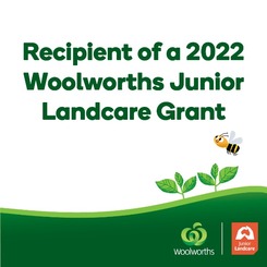 Woolworths_JLC_2022_Grant_Promotional_Image_For_Instagram.jpg