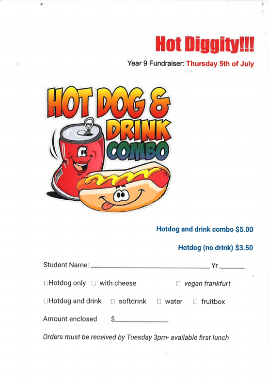 Year 9 Fundraiser.PNG