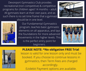Come and try Gymnastics - Page 2