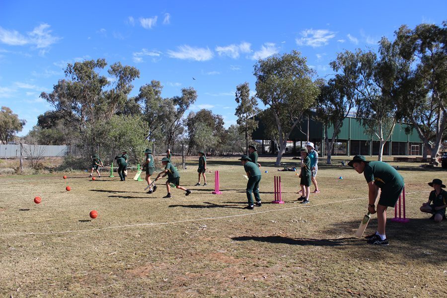 QLD Cricket Workshops