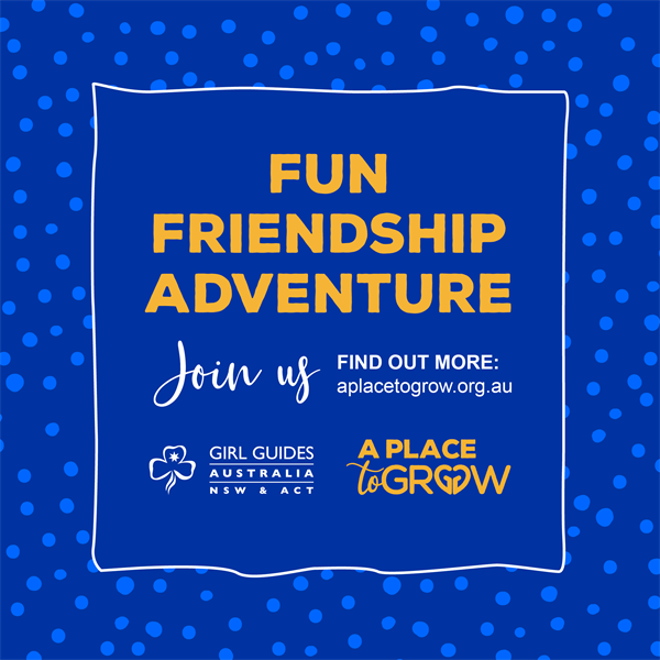 Fun Friendship Adventure