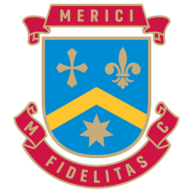 Merici_Logo.png