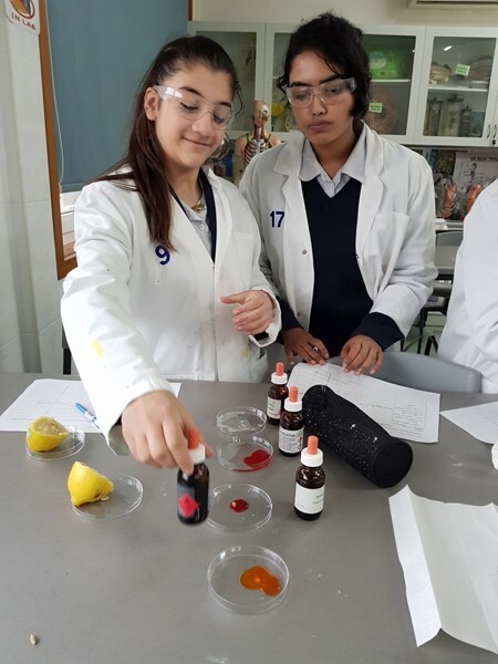 Year 9 Science