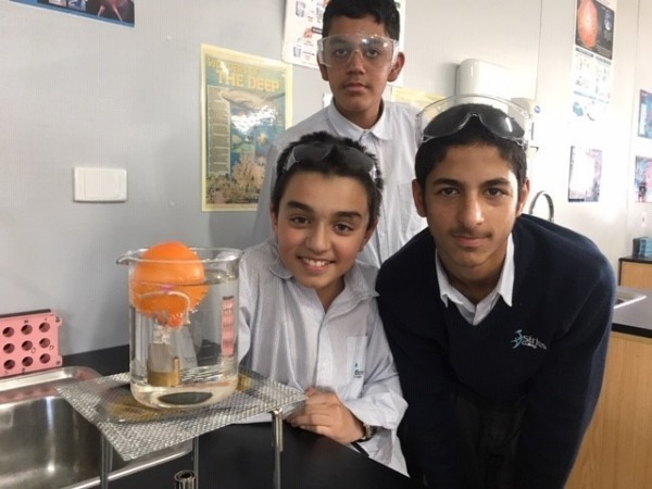 Year 7 Term 1 Science