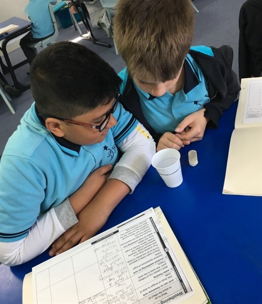 Year 4 SCIENCE