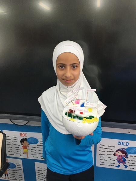 Year 5 Projects