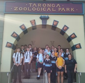 Taronga Zoo 1