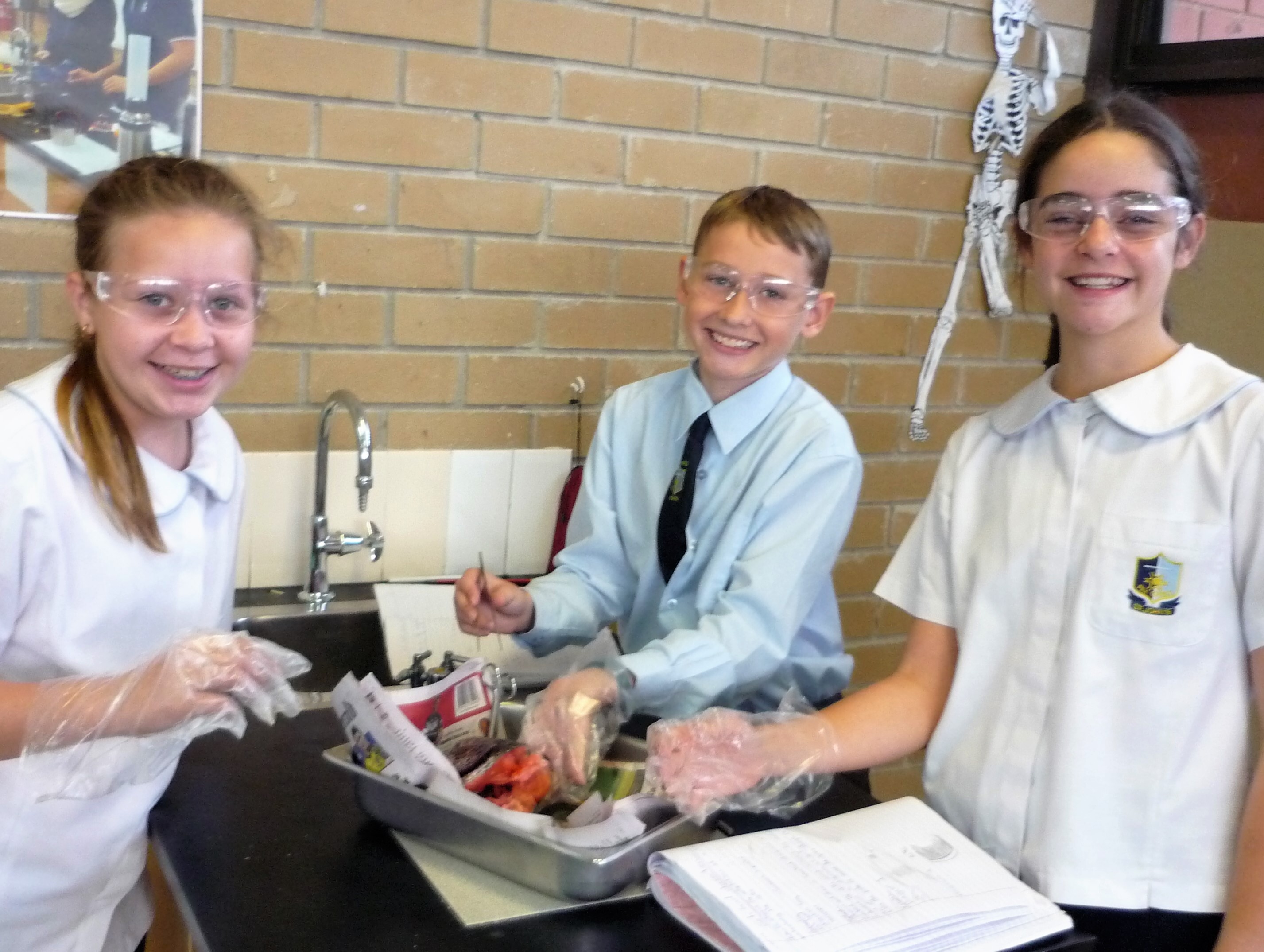 Yr 7 Science, Mr Chard - Fish Dissection (5)