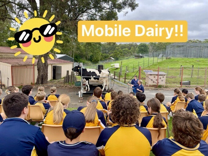 Mobile Dairy - Smart Farmer (5)