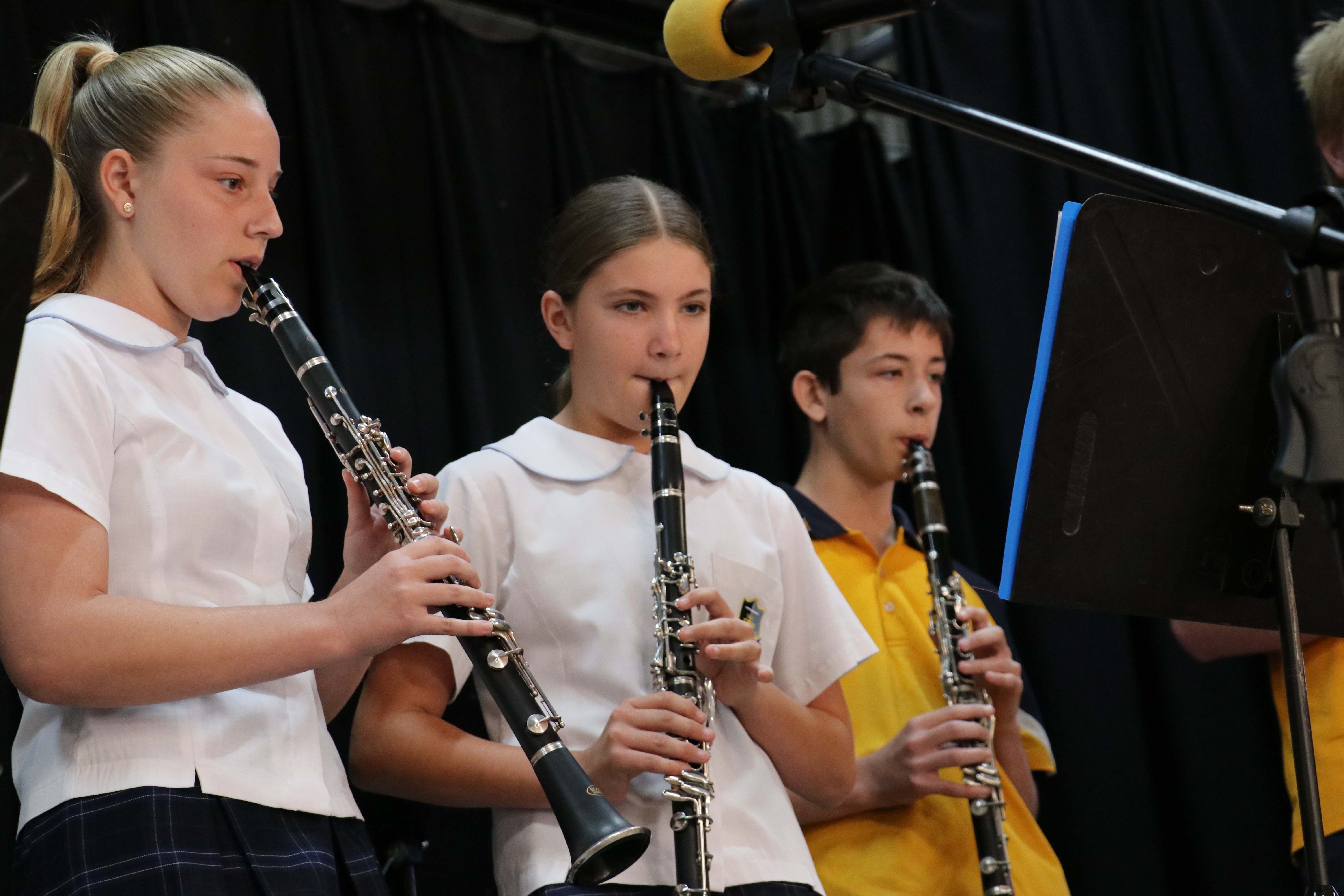 Concert band clarinet
