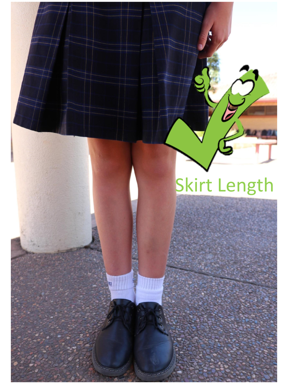 Skirt Length Poster.pptx
